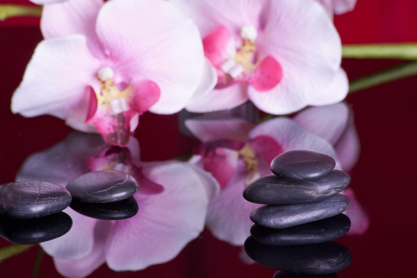 Légy a magad ura magas jövedelemmel!