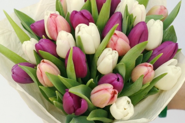 Unod az átveréseket és a lehúzást?